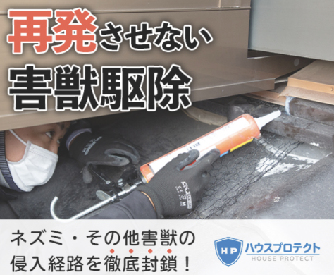 ハウスプロテクト