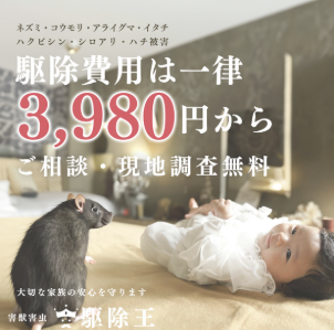 害獣害虫駆除王