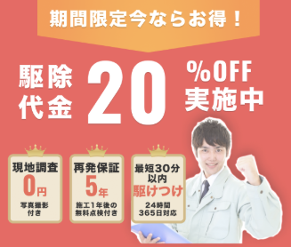 街角害獣駆除相談所